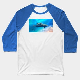 Dolphin Family Outing Baseball T-Shirt